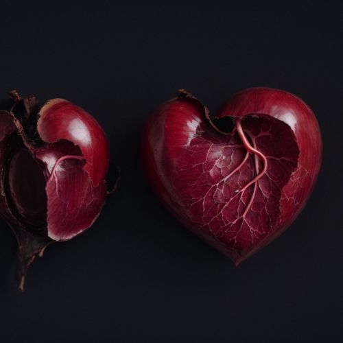 3d-rendering-colorful-human-heart-dark-background