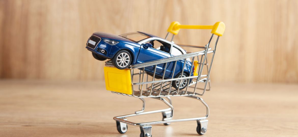 car in a basket