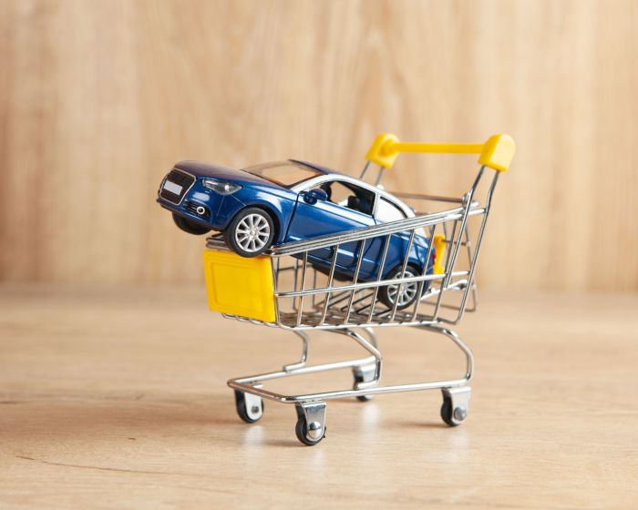 car in a basket